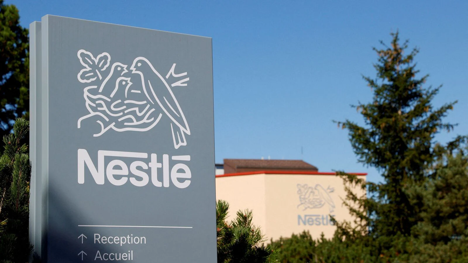 Nestle India’s Q2FY25 Profit Rises, Volume Declines